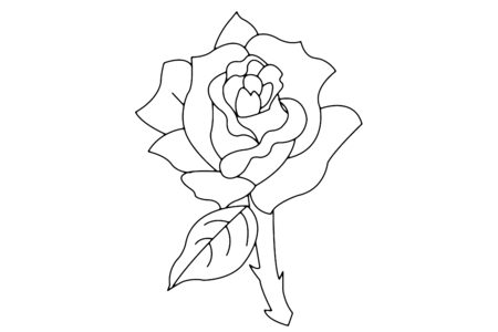 Coloriage Rose 02 – 10doigts.fr